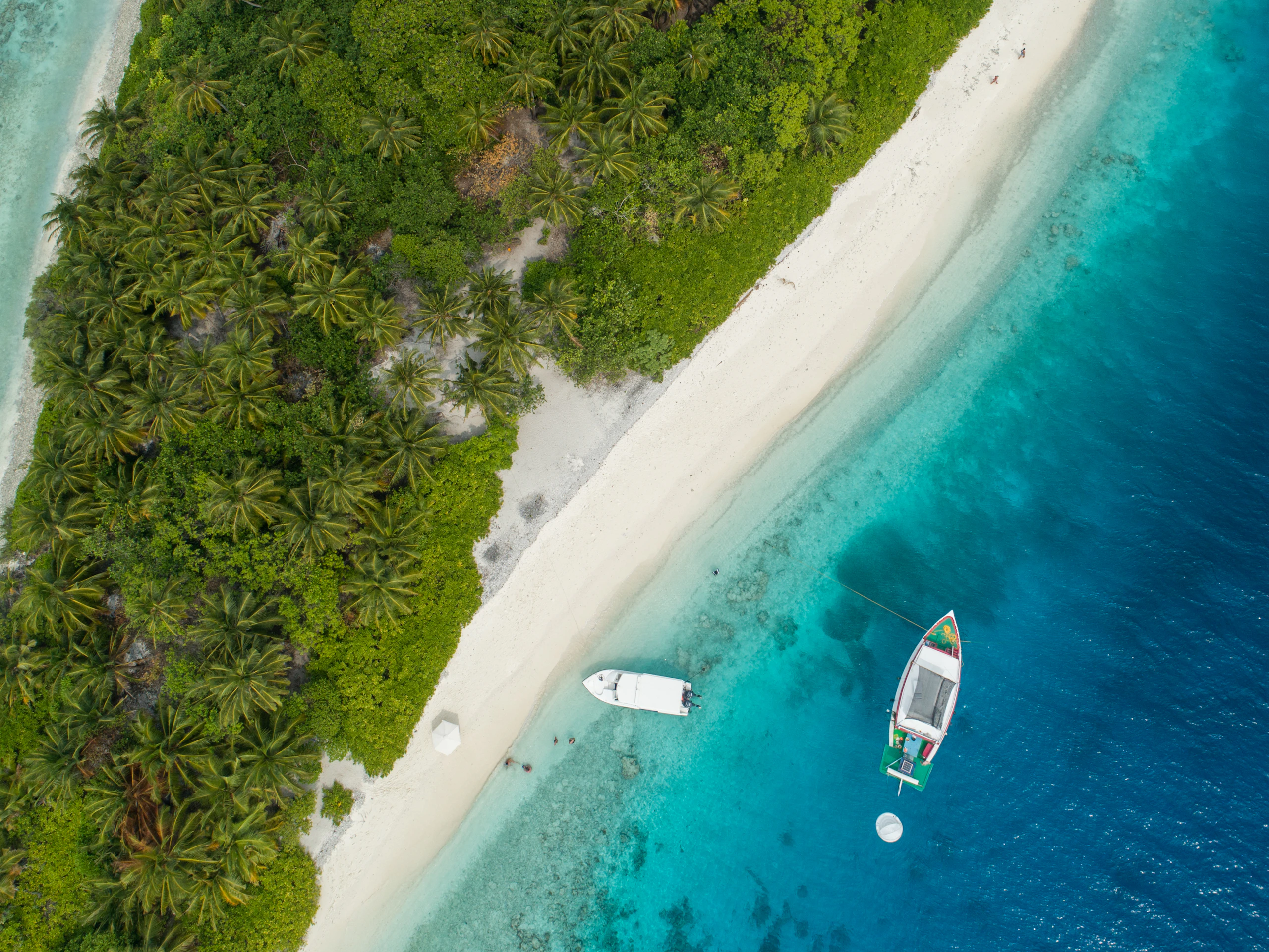 Two small boats moored off a white sand beach backed by dense palms