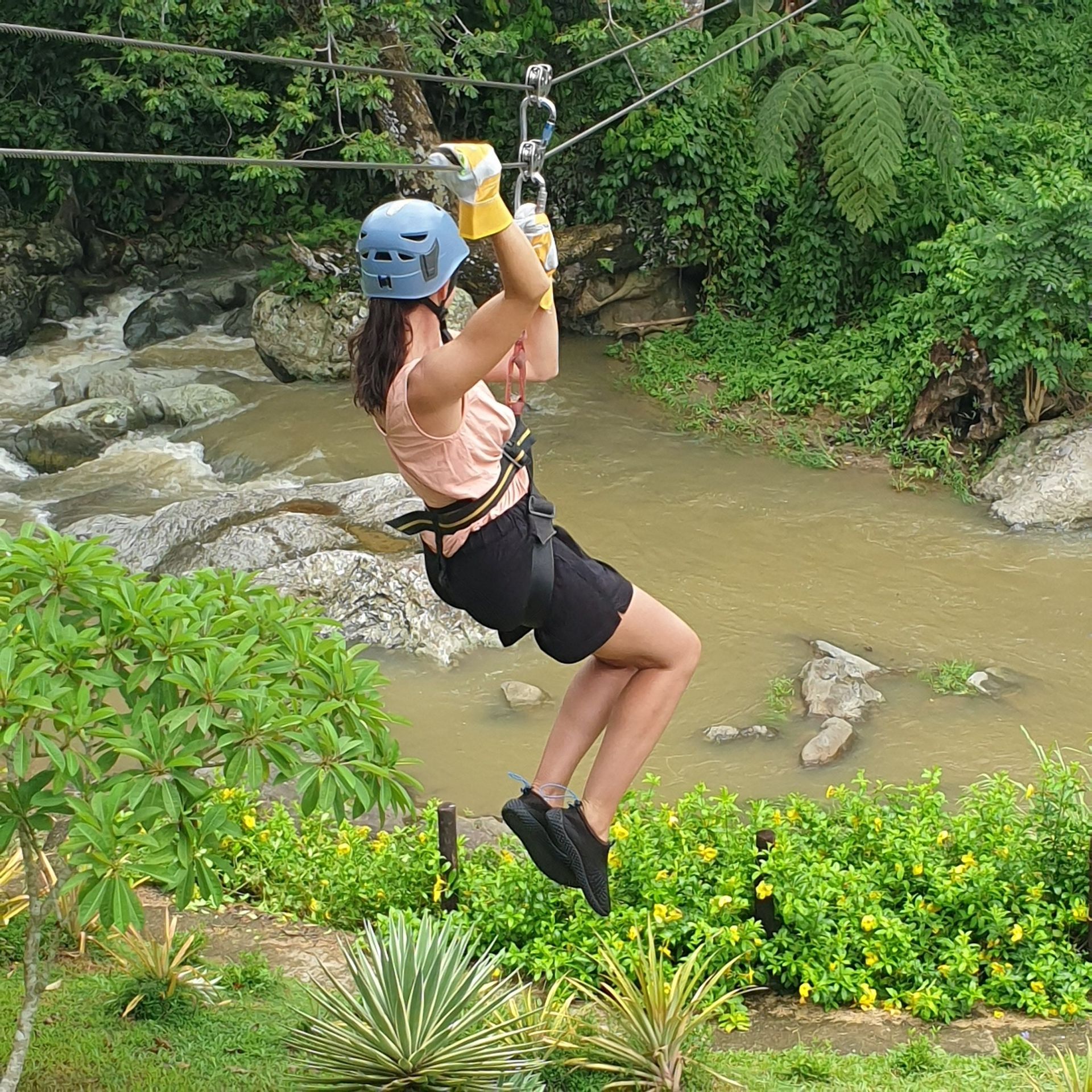 Guest riding a zipline above a rainforest gully
